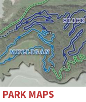 Online Registration Button Link