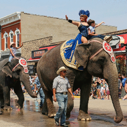 TAW-Elephants-4-1024x819